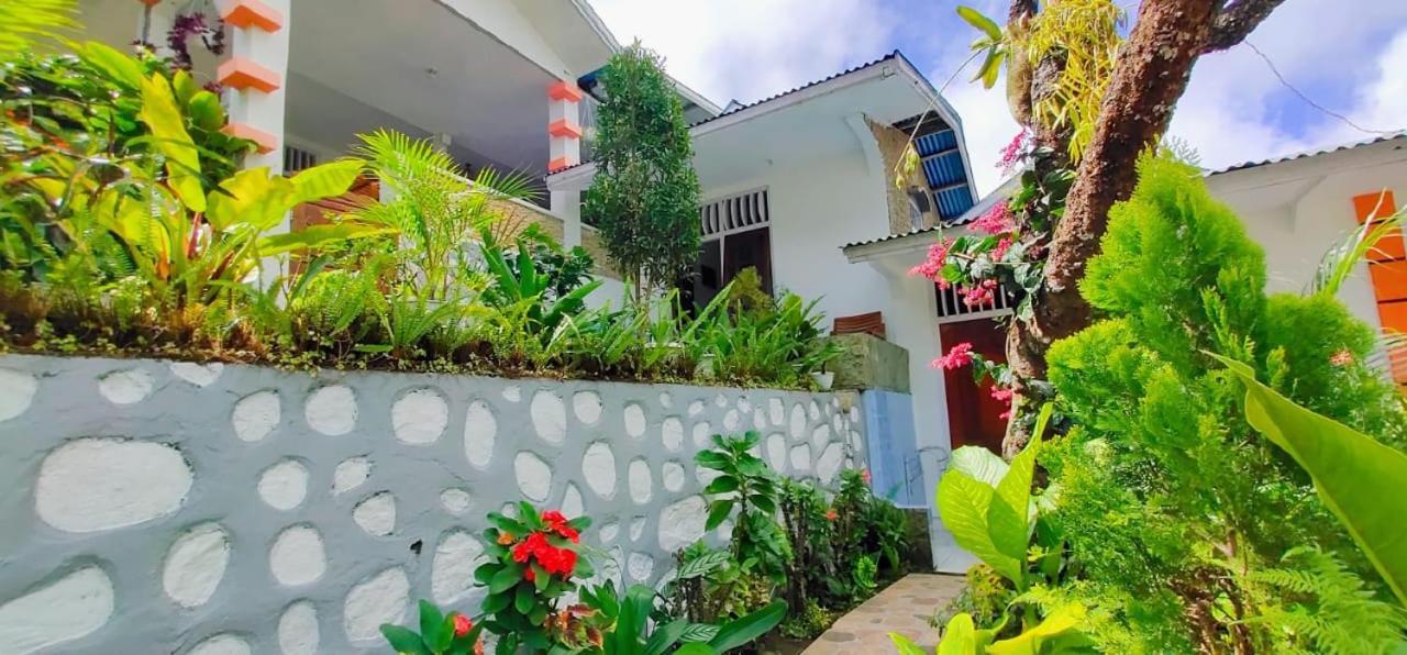 Bintang Bungalow Tour & Travel Kelimutu Εξωτερικό φωτογραφία